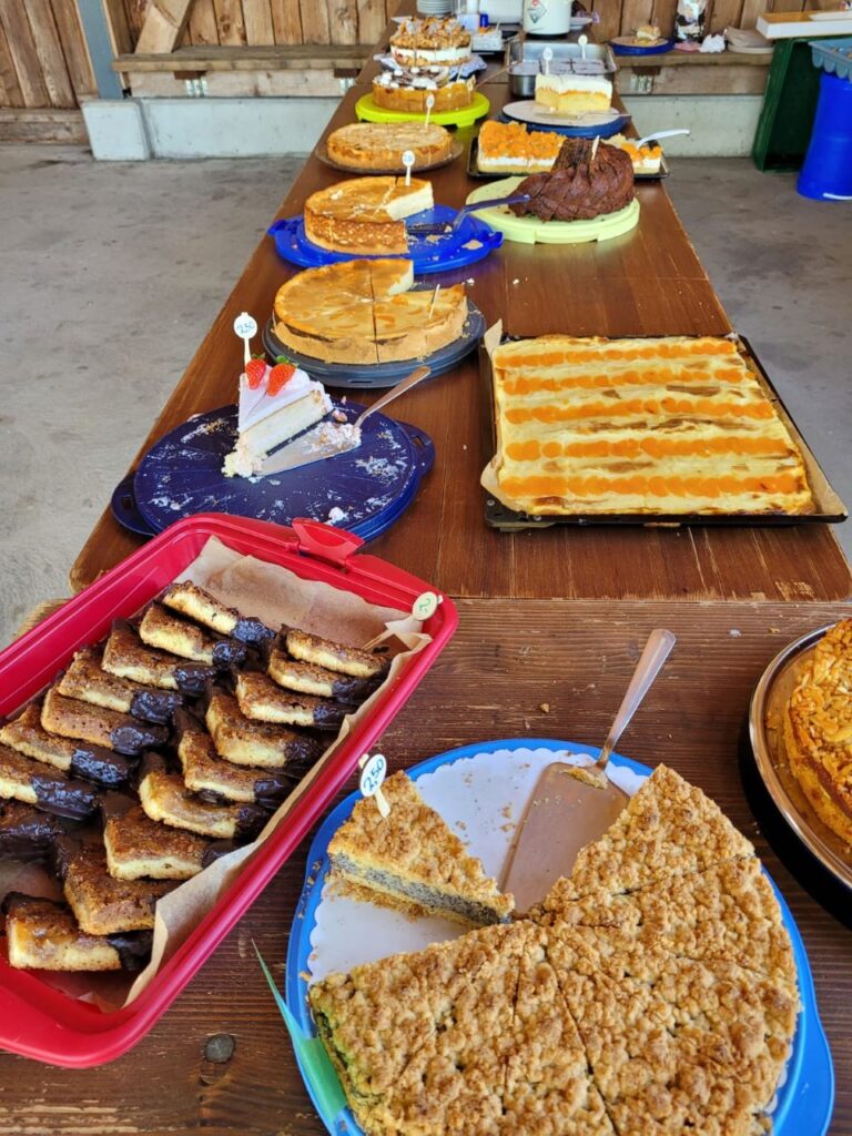 Frühlingsfest Kuchen 2 web