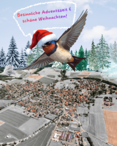 Weihnachtsschwalbe