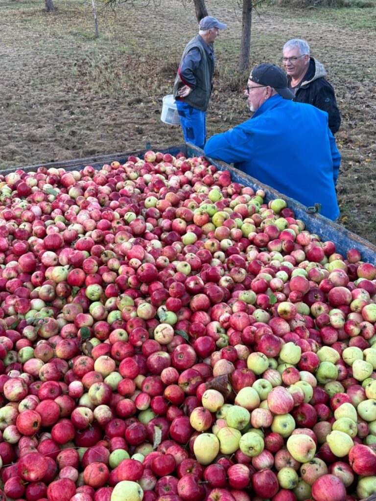 Apfelsaft 2026 1 web